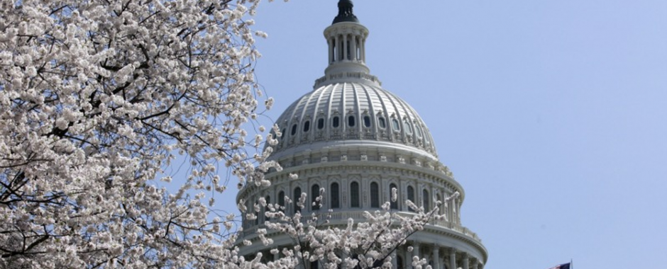 Legislative Advocacy